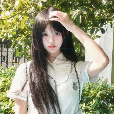 森林随处可见